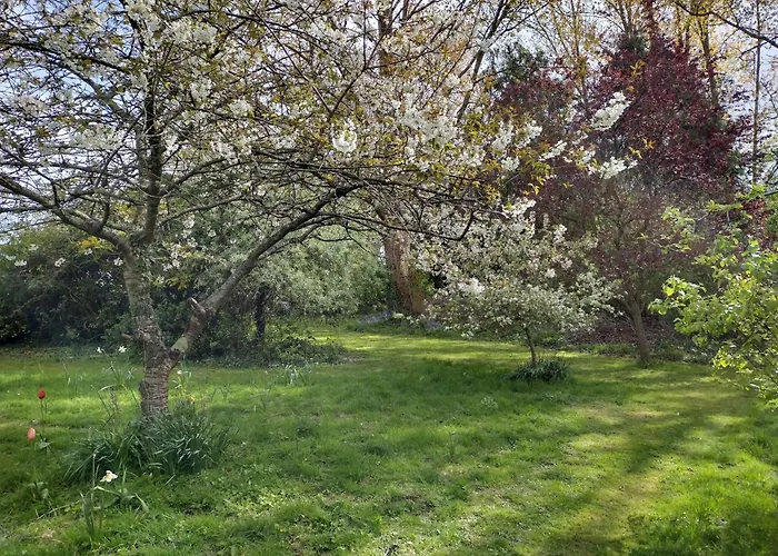 Robin Hill Cottage